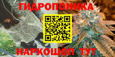 дживик Брянск