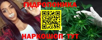 таблы Боровичи