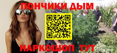 PSILOCYBIN Бердск