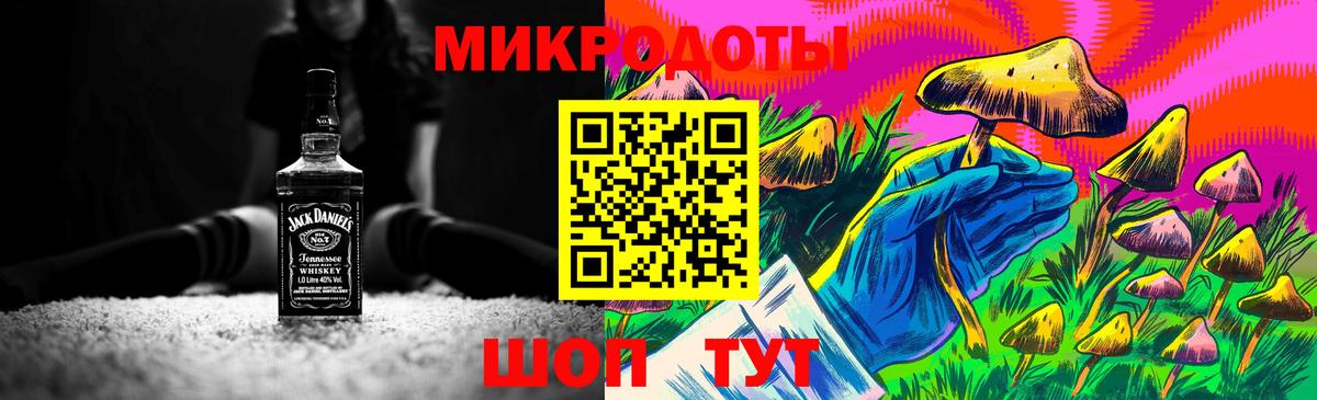 Галлюциногенные грибы Psilocybine cubensis Сунжа