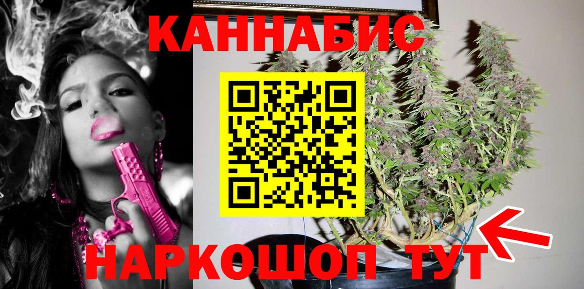 Бошки марихуана конопля Сунжа